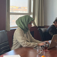 Meryem B. DEMIR